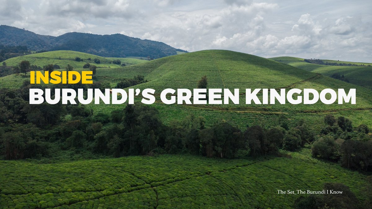 setbackpod's tweet photo. We didn’t expect this.

Mountains covered in green. 
A forest older than generations.
Where water begins its journey across Africa.

Video drops tomorrow at 4 PM on the link below 
https://t.co/av1a6XeK5k https://t.co/0jTfaqzHnu