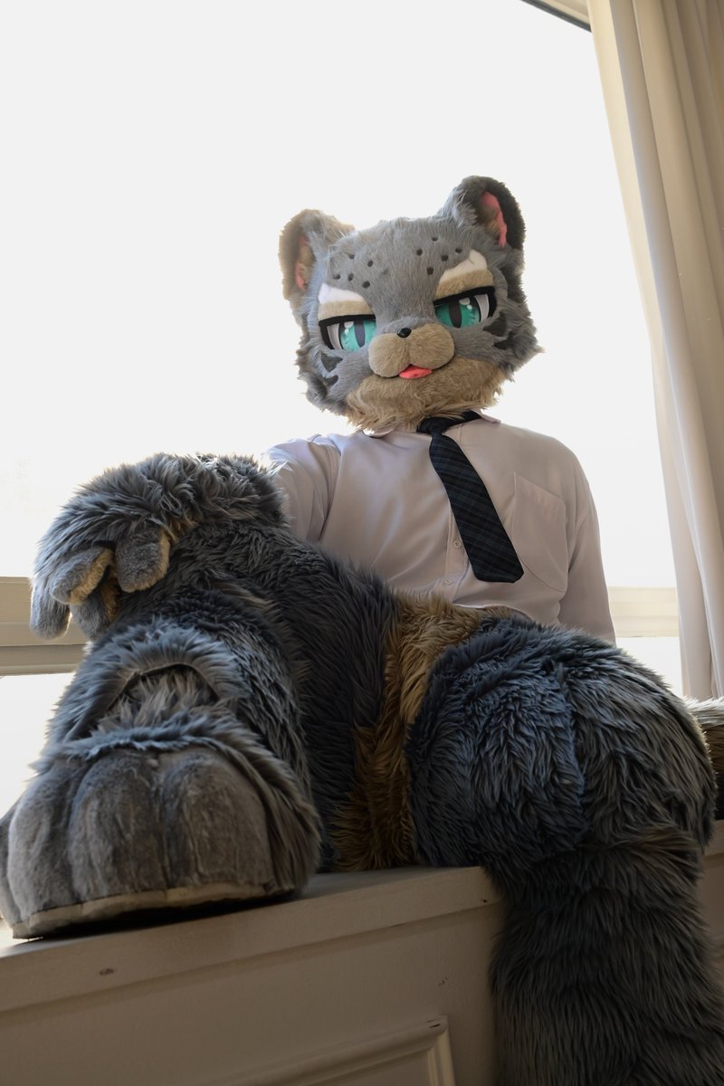 론트 / 서향 tweet media