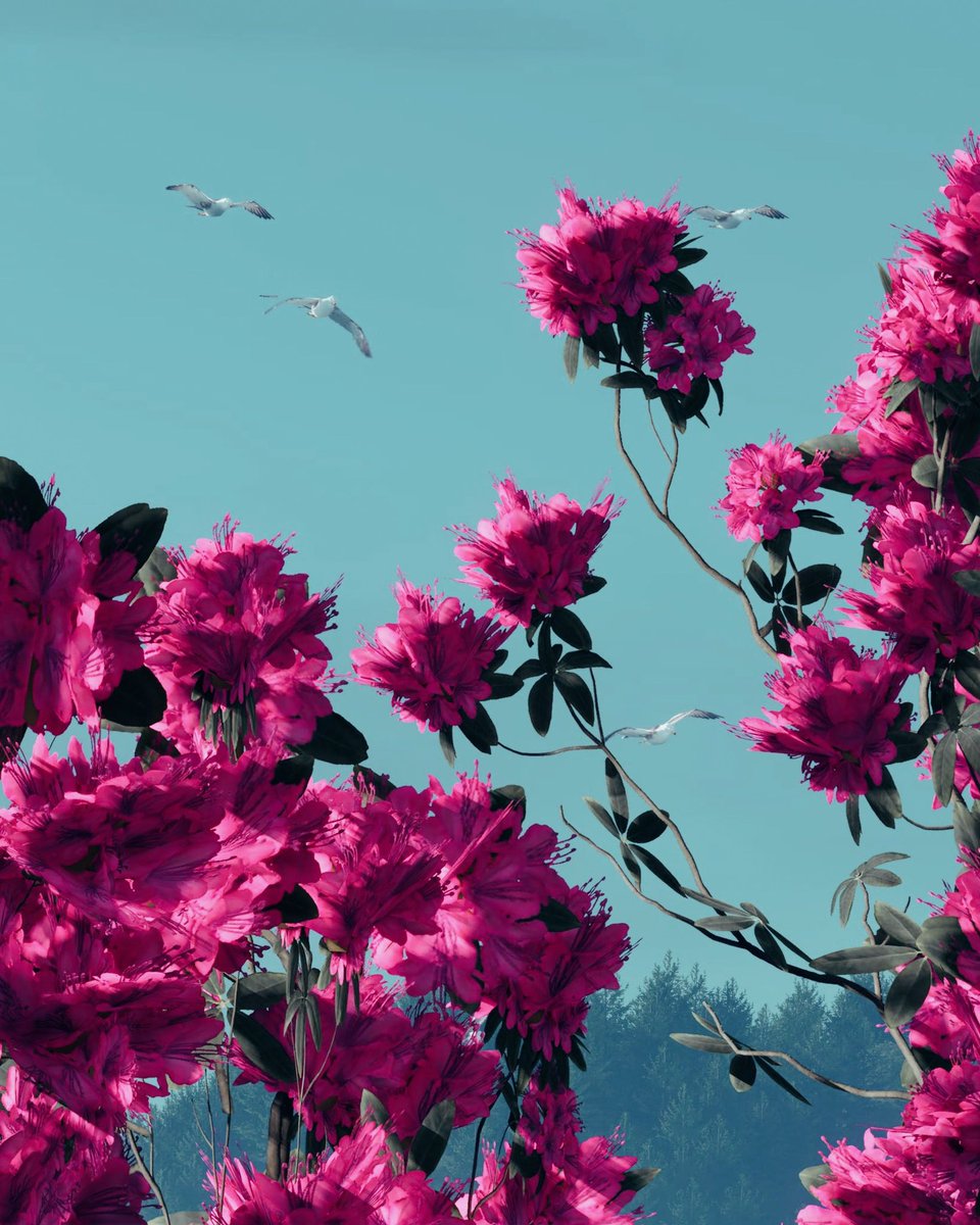 ᴜʟᴛʀᴀ ᴠɪᴏʟᴇᴛʀᴀ 🩷🤍🧡 tweet media