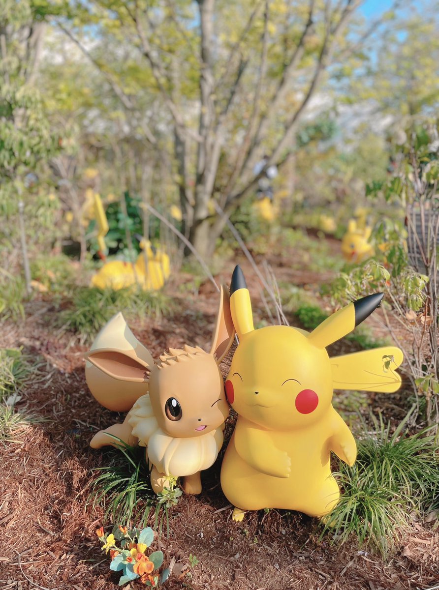 ポケパークカントー行ってきました！
とてもとても楽しかったです！！！
みんなかわいかった😭
