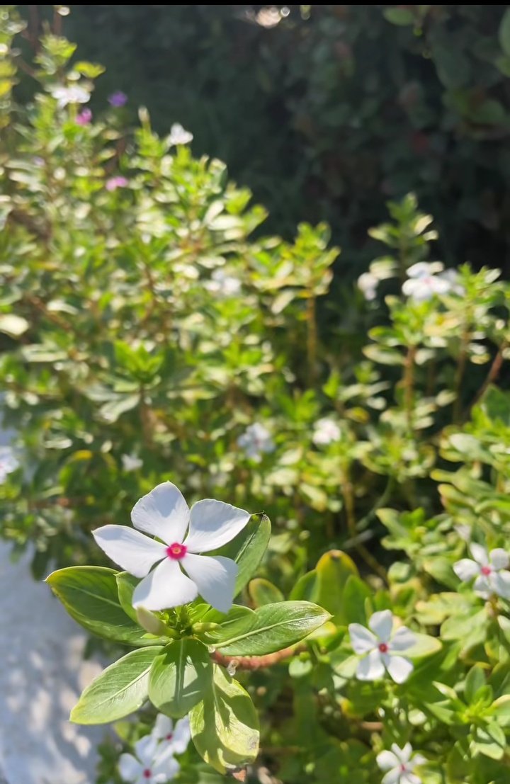 فرات✏️ tweet media