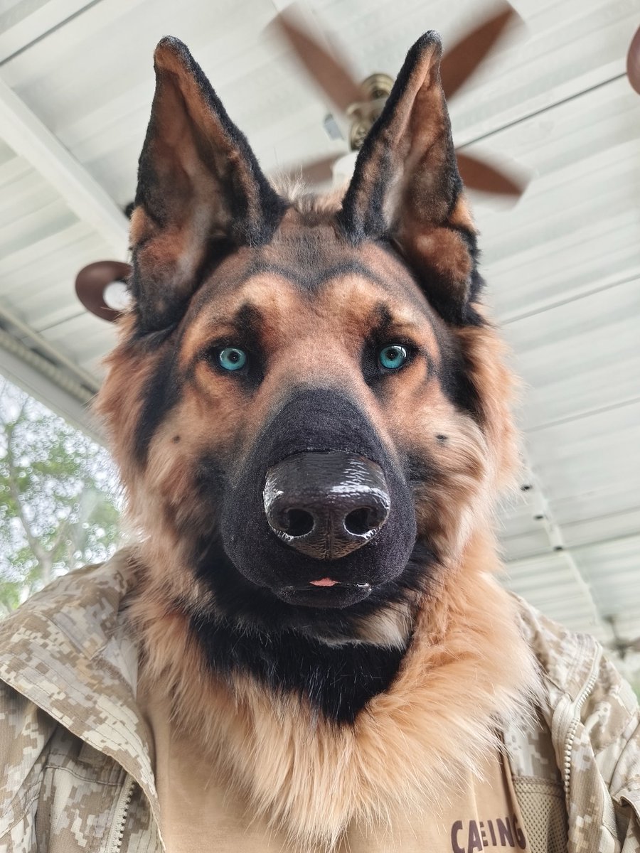 狗王🇺🇦 tweet media