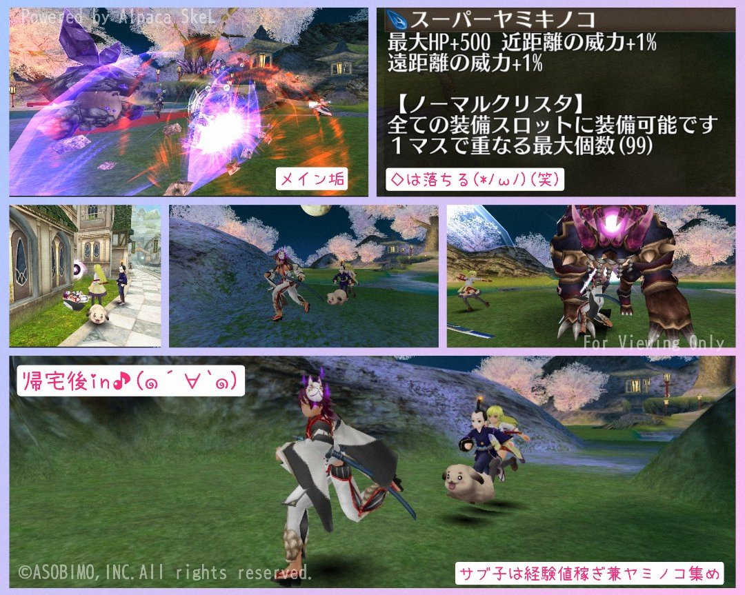 アルコル・P tweet media