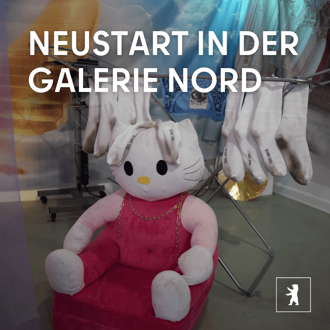 Bezirksamt Mitte tweet media