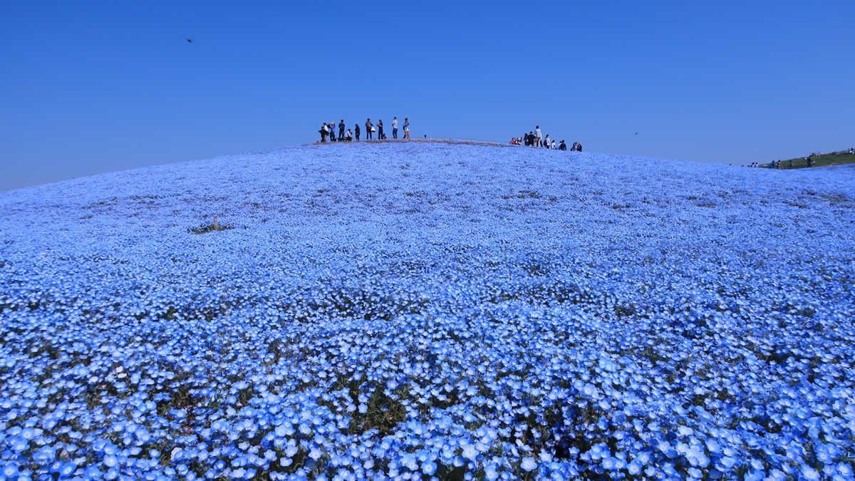 イベントチェッカー製作委員会 tweet media