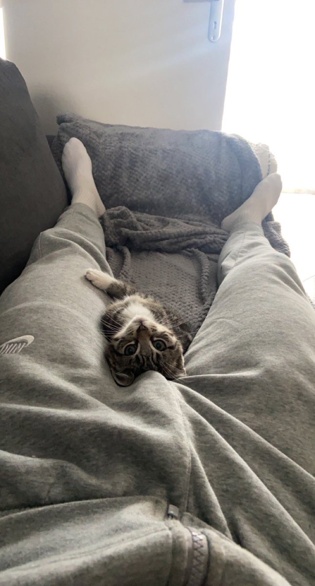 C’est Harr 🌶️🌶️ tweet media