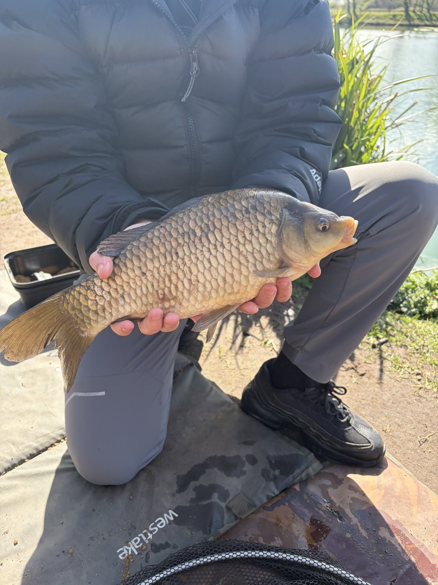 fishingthemind's tweet image. Great way to start the week 🎣🧠👌🏼

Many fish caught today but most importantly relaxing in the sunshine next to the water, great for the mind 🧘‍♂️ 

#fishingtherapy #sessions