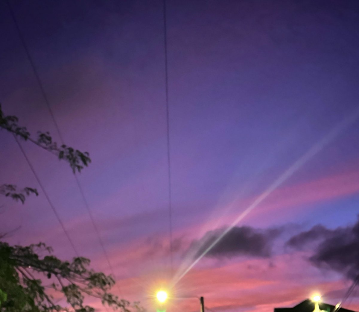 Alejandra Cruz tweet media