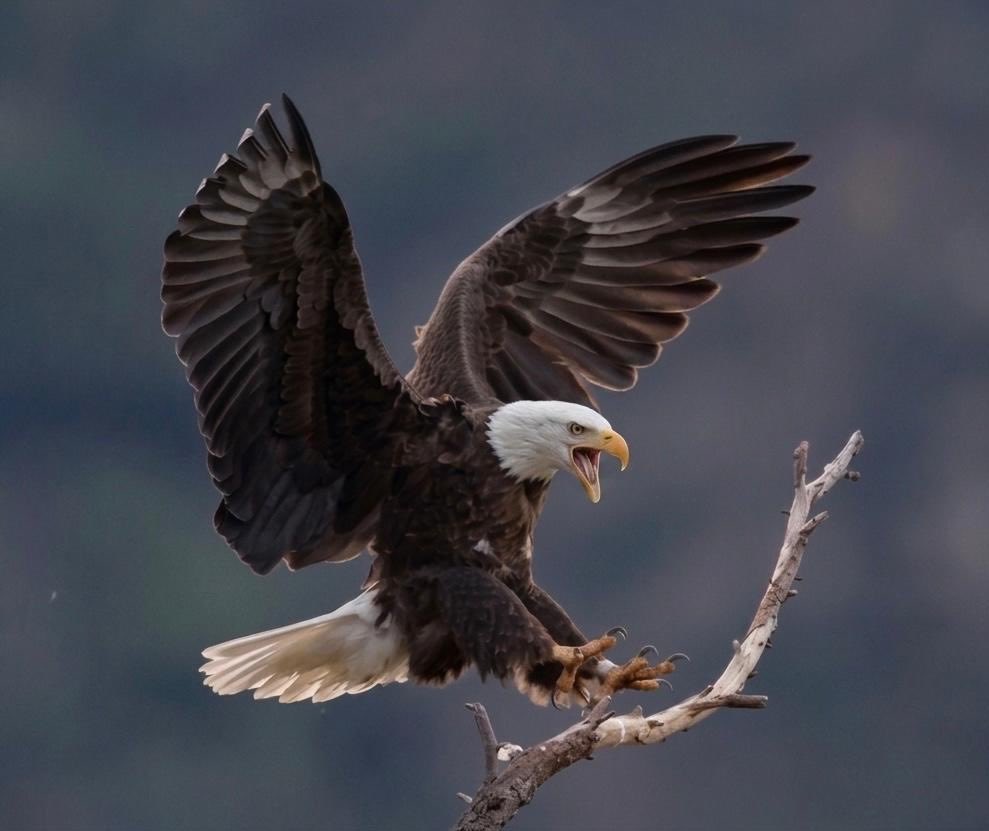 𝐒ı𝐥𝐚 tweet media