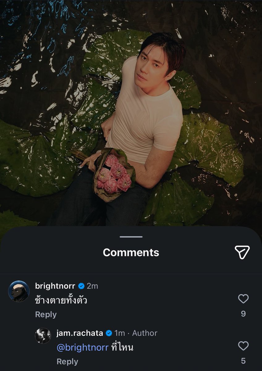 ' KAIMOOK ♡ tweet media