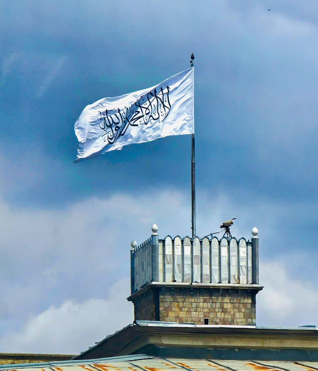 🦅 حافظ تسکین tweet media