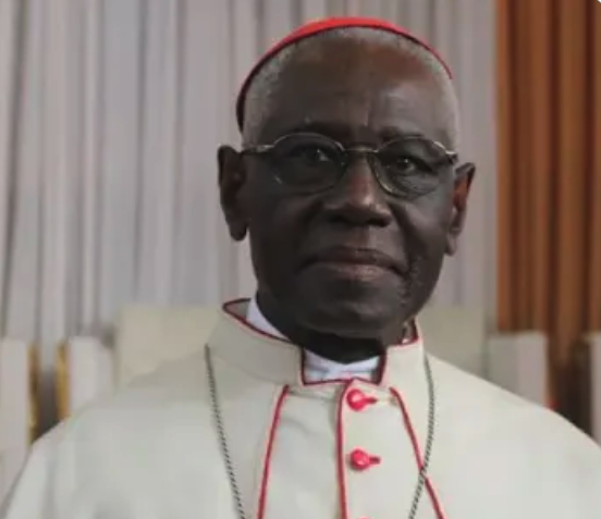 MAG🔫1775🇺🇸 tweet media