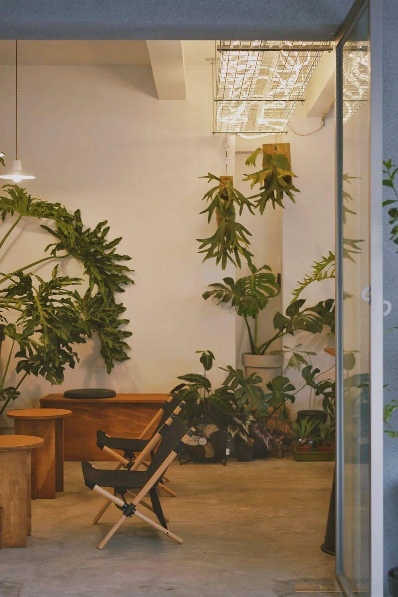 Erika Foppolo tweet media