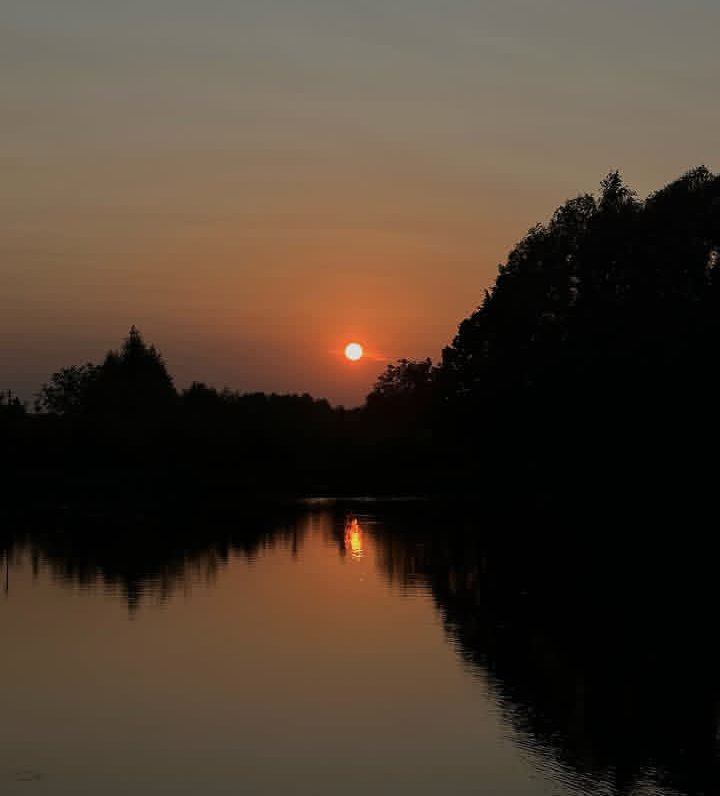 Stacy_Leee's tweet image. Sunsets are proof that endings can be beautiful too.
#evening