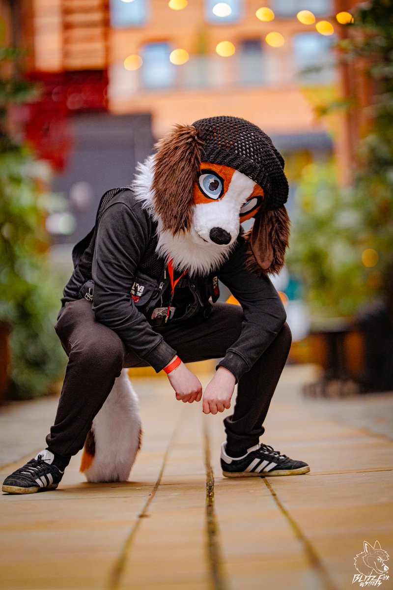 BeanThePunk 🔜CFZ tweet media