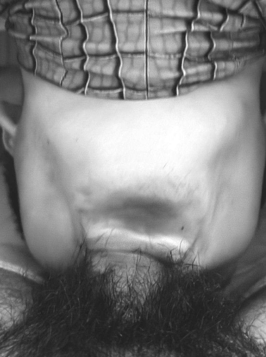 嘎咕呼噜不睡觉 tweet media