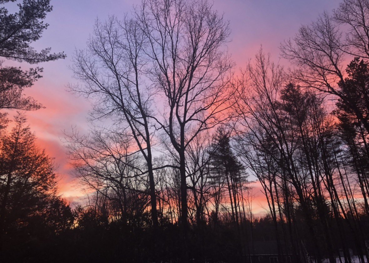 𝒞𝒽𝒶𝓃𝓉𝑒𝓁 tweet media