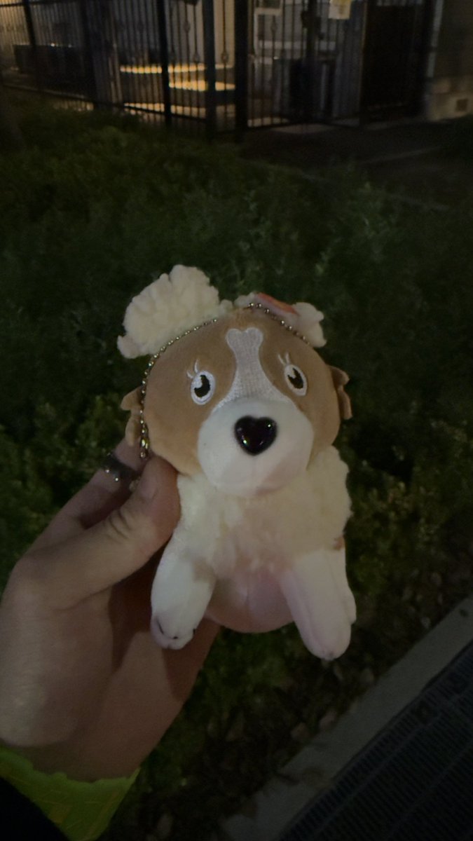 いお。 tweet media