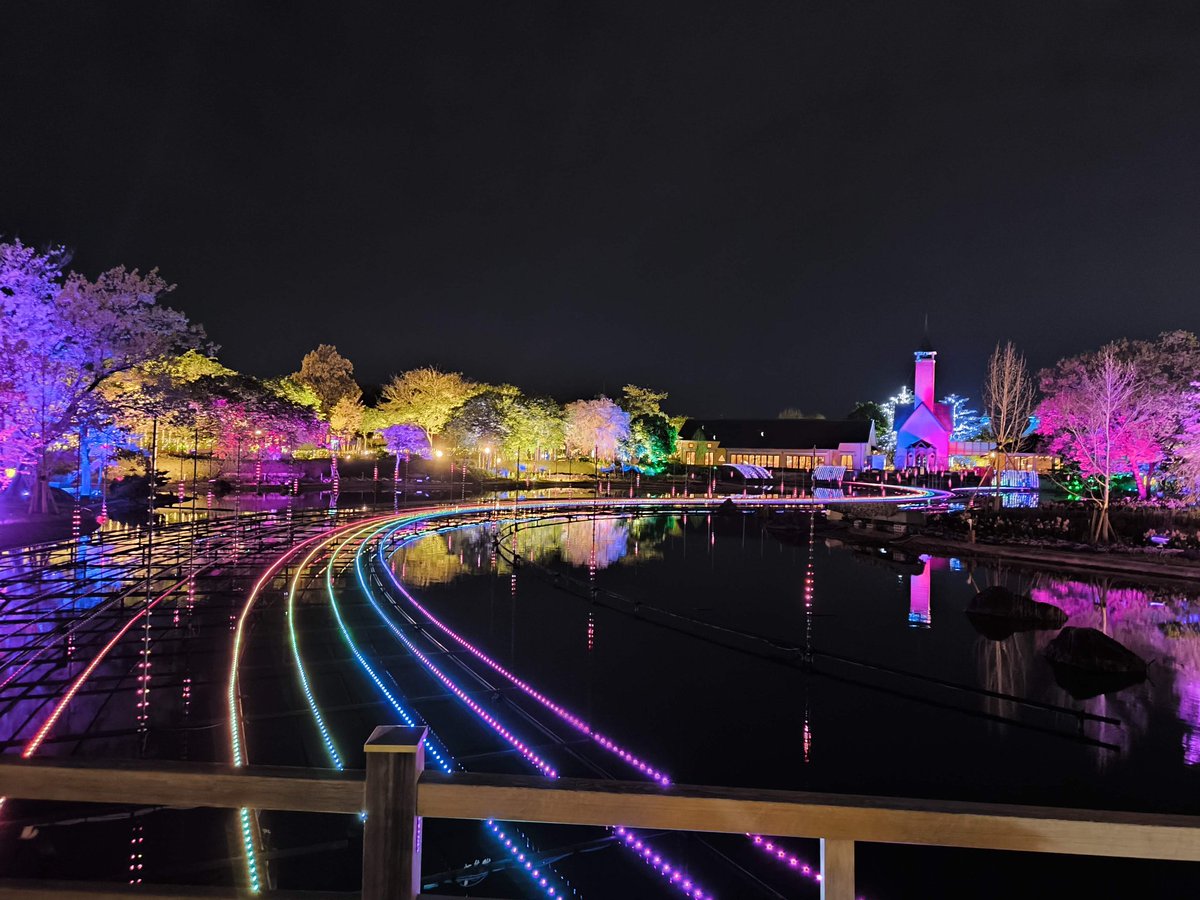 ぐっち tweet media