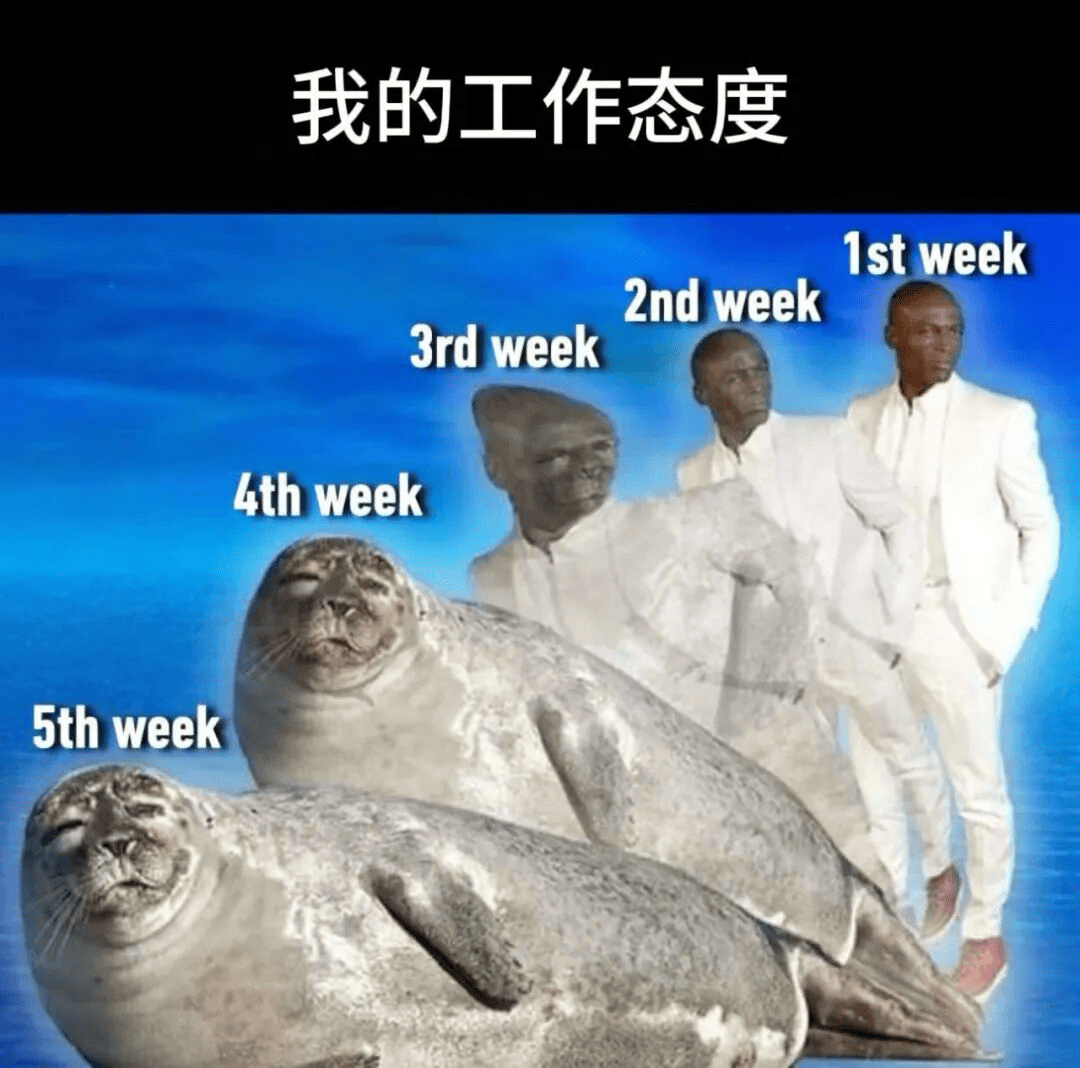 stariveer's tweet photo. 我的工作态度 https://t.co/SVScl5sVBQ