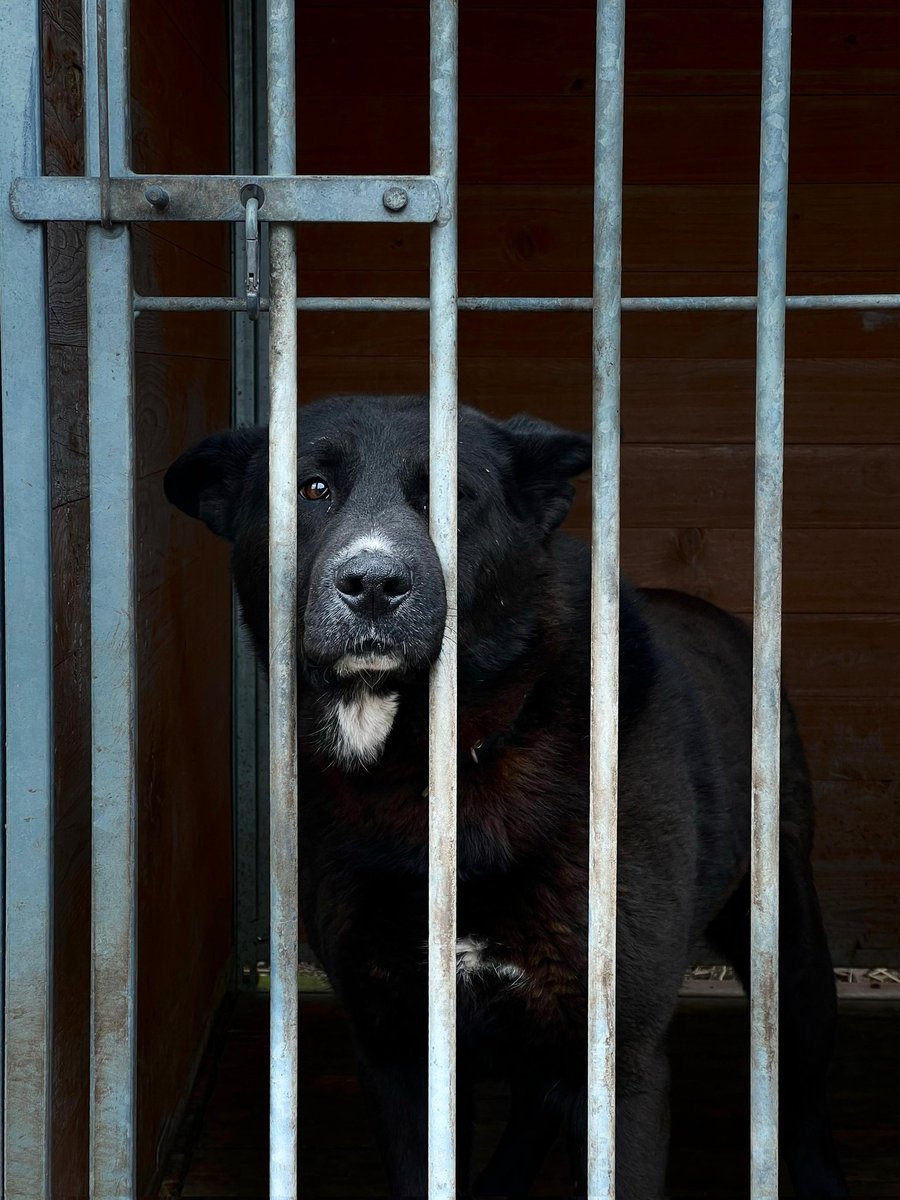 DzAB ''Ķepu-ķepā'' tweet media