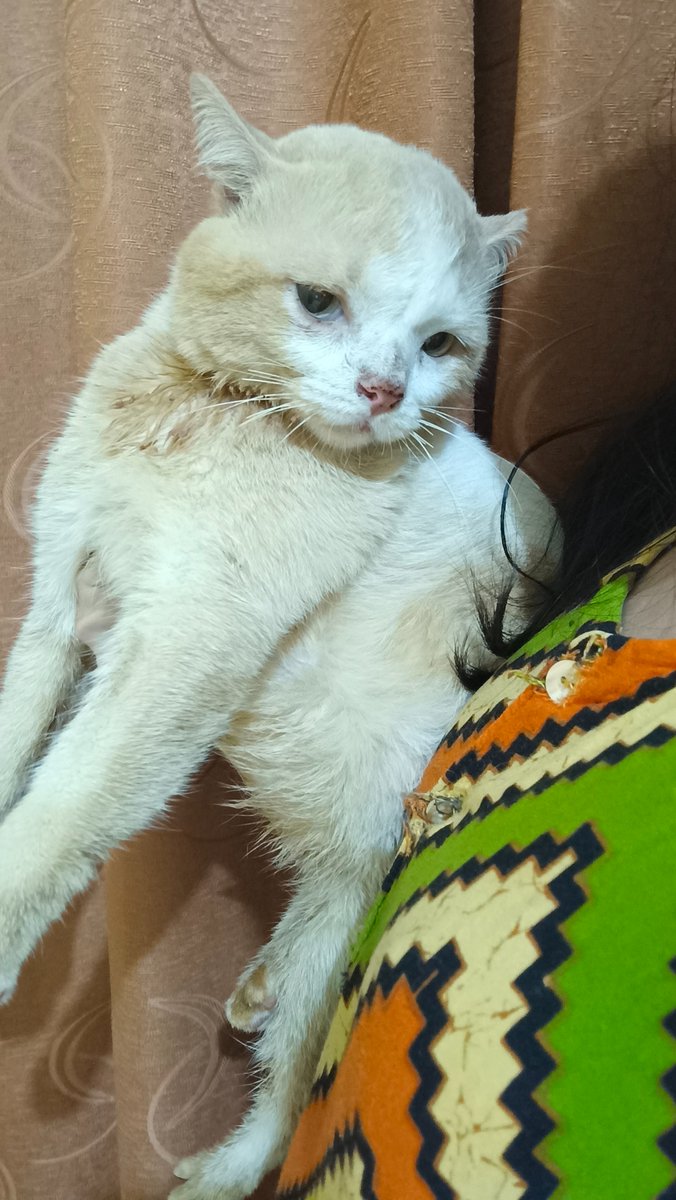 panggil aja ucok tweet media