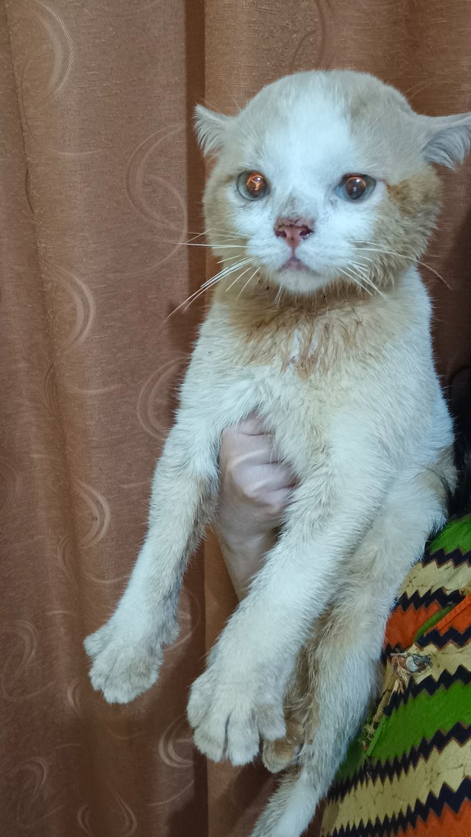 panggil aja ucok tweet media