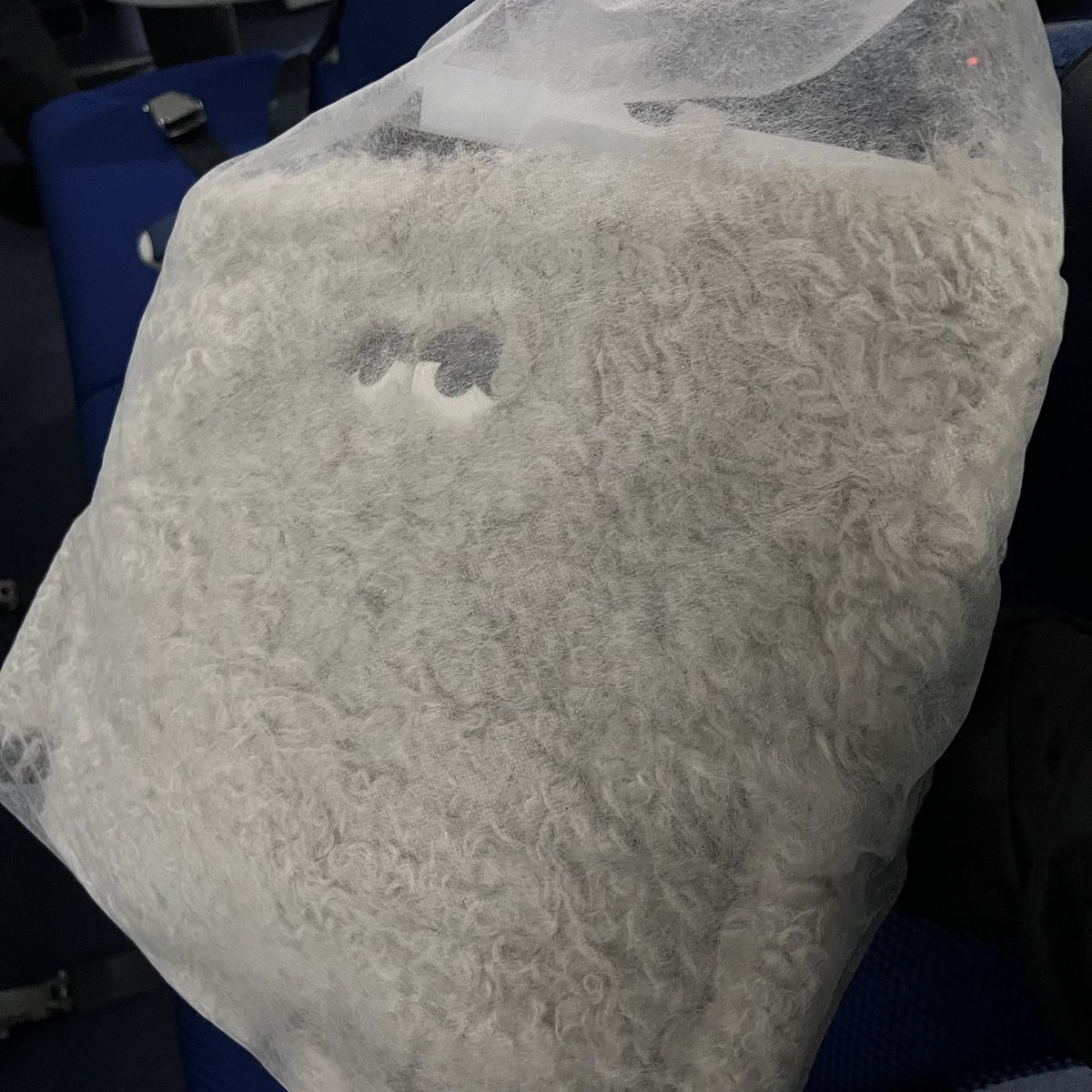 むちゃん🐼ヒカパン tweet media