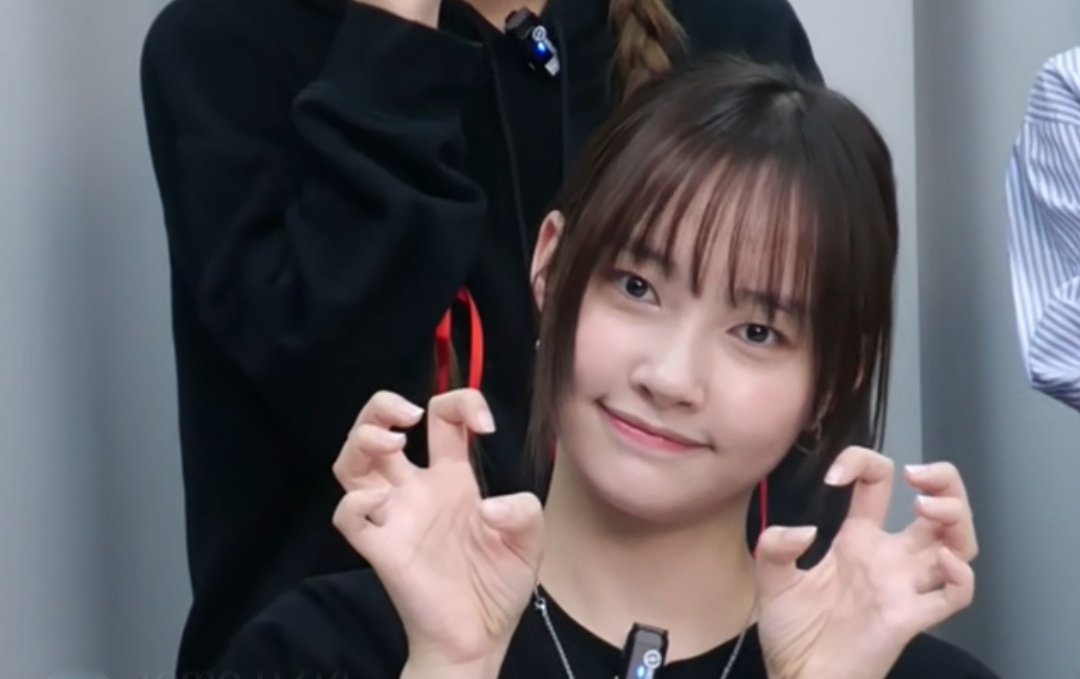 よつば🌹🍀💜🦊🦕🐰 tweet media