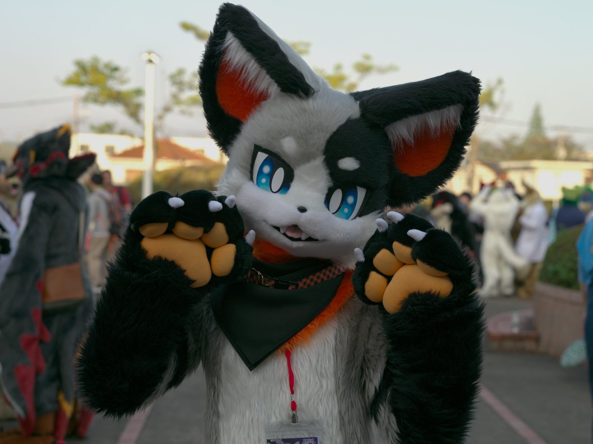 星野まひろ🌟🧷 tweet media