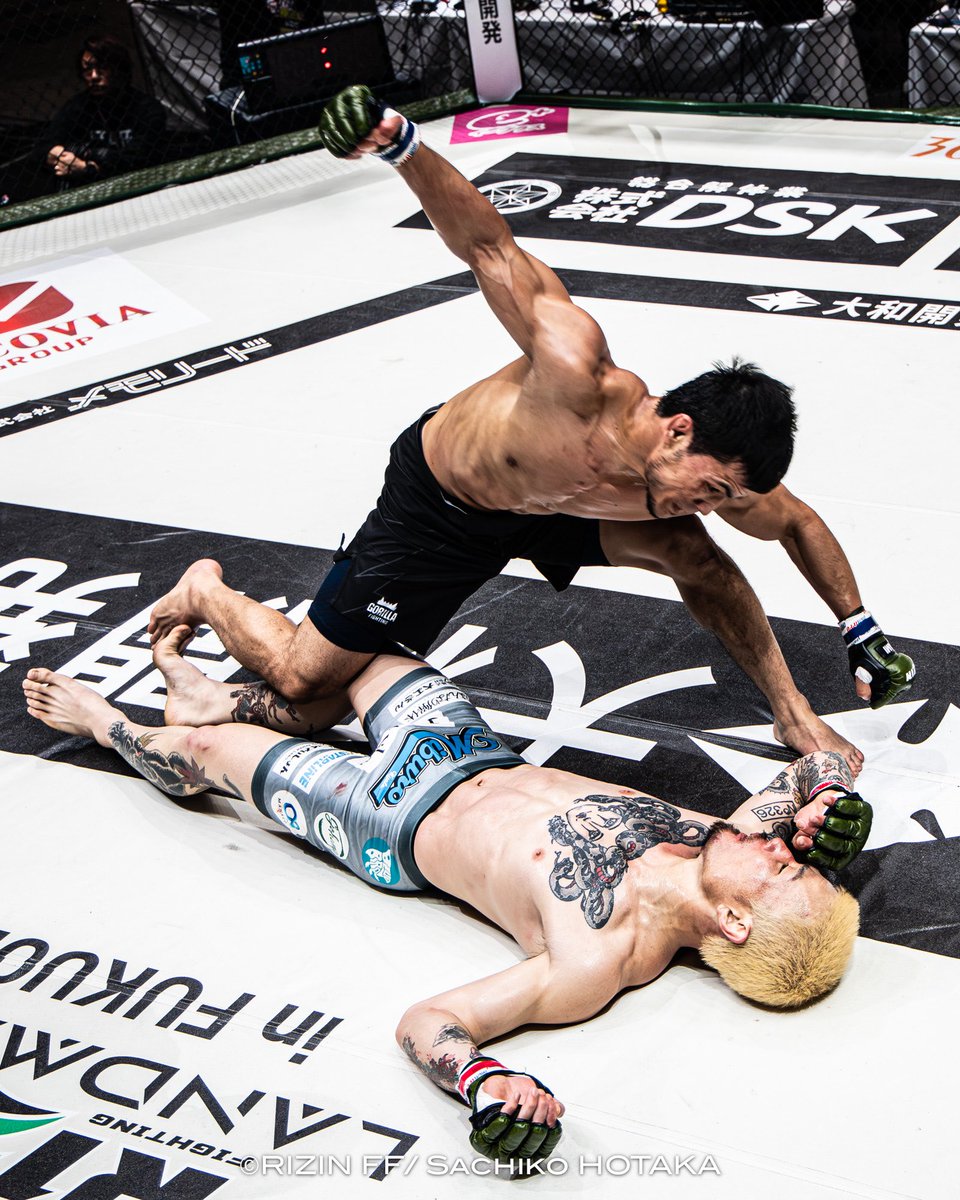 ファイトメモリー | Fight Memory tweet media