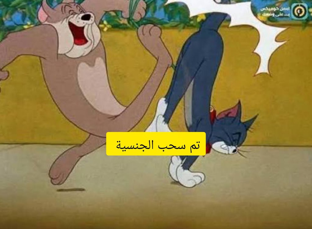 ᷂أمارجي🇮🇶 tweet media