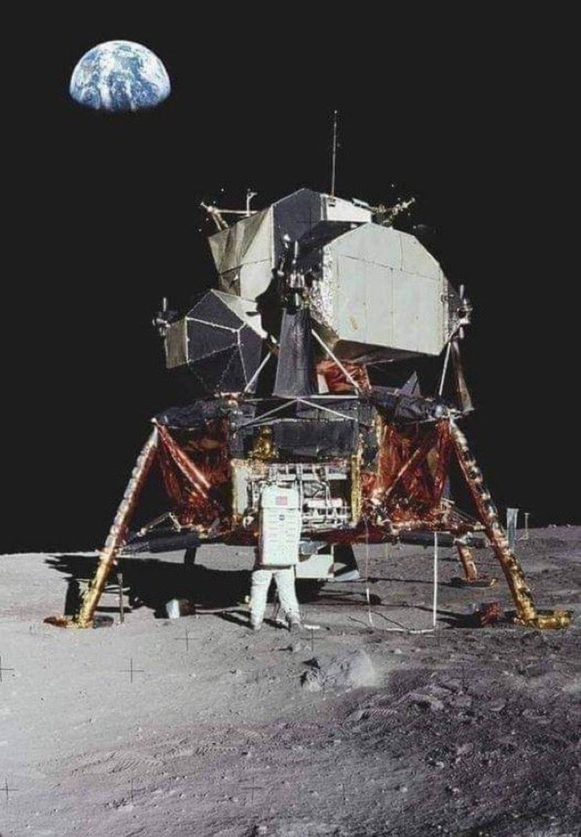 Neiled It tweet media