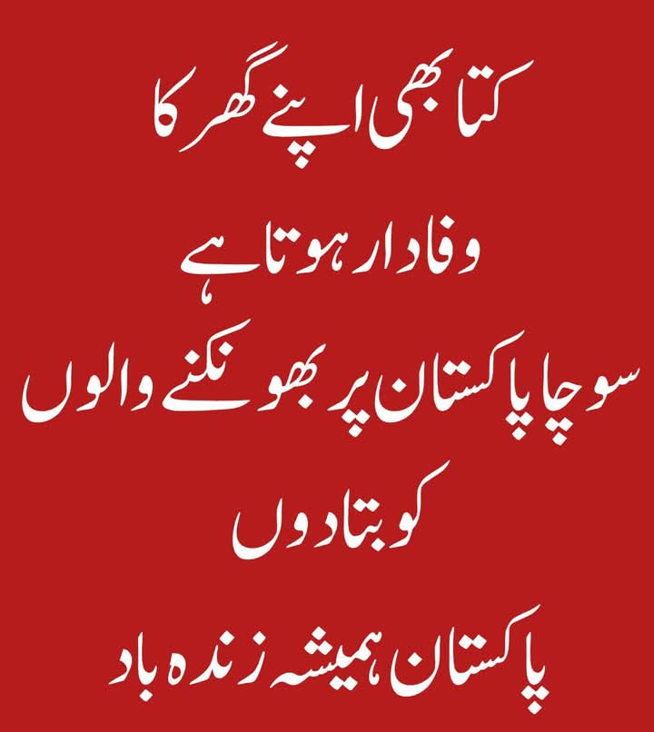 Iram (Summan) Dar ♌ tweet media