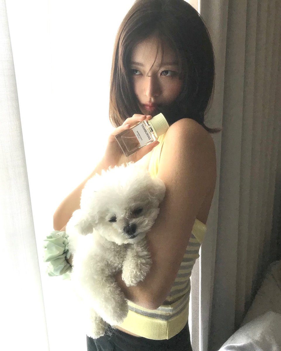 만두 tweet media