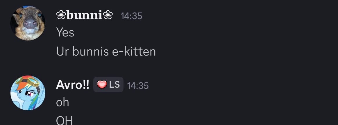 ⸝⸝ ꒰ ᗩᐯᖇO🫐 ⁞ ˎˊ (𝗋α𝗂nᑲⱺωᑯα𝗌ɦ ⱺ𝖿 𝗌ɦ𝖾ᑯ𝗍ω𝗍!) tweet media
