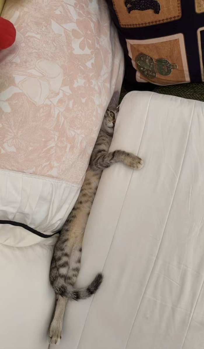 tmszhjh88's tweet image. Squeezed into a thread