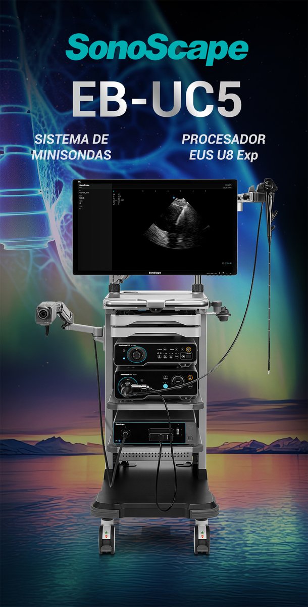 ST Endoscopia tweet media