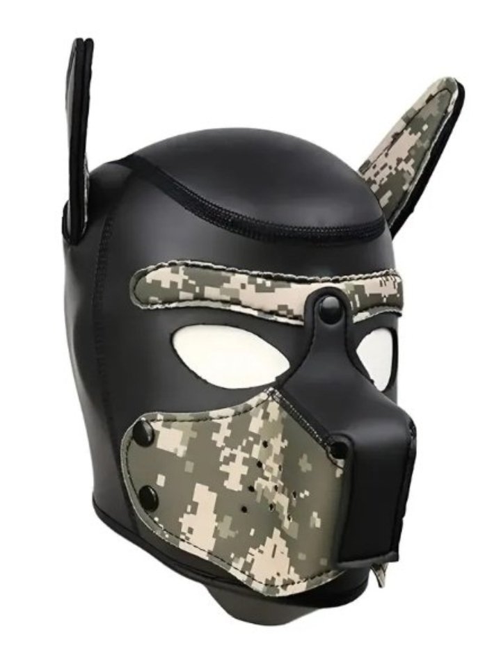 Centauro tweet media