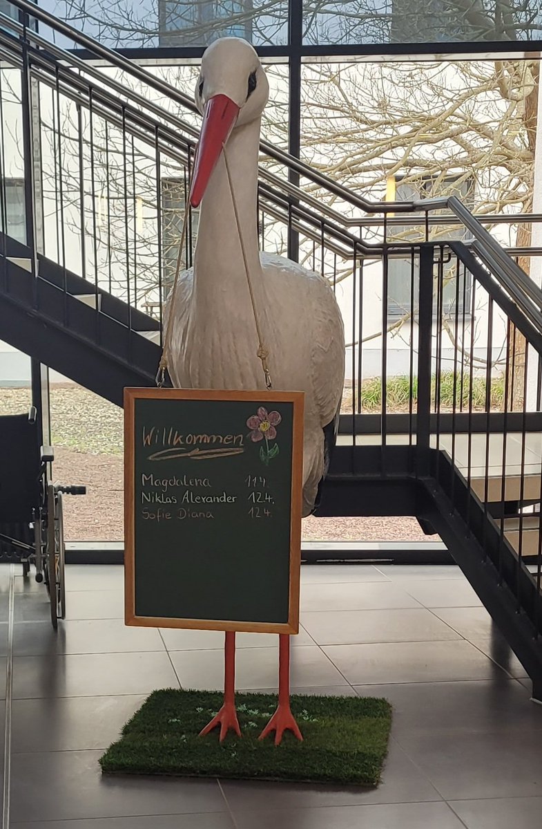 𝕯𝖔𝖐𝖙𝖔𝖗 𝕮𝖔𝖗𝖛𝖚𝖘 tweet media