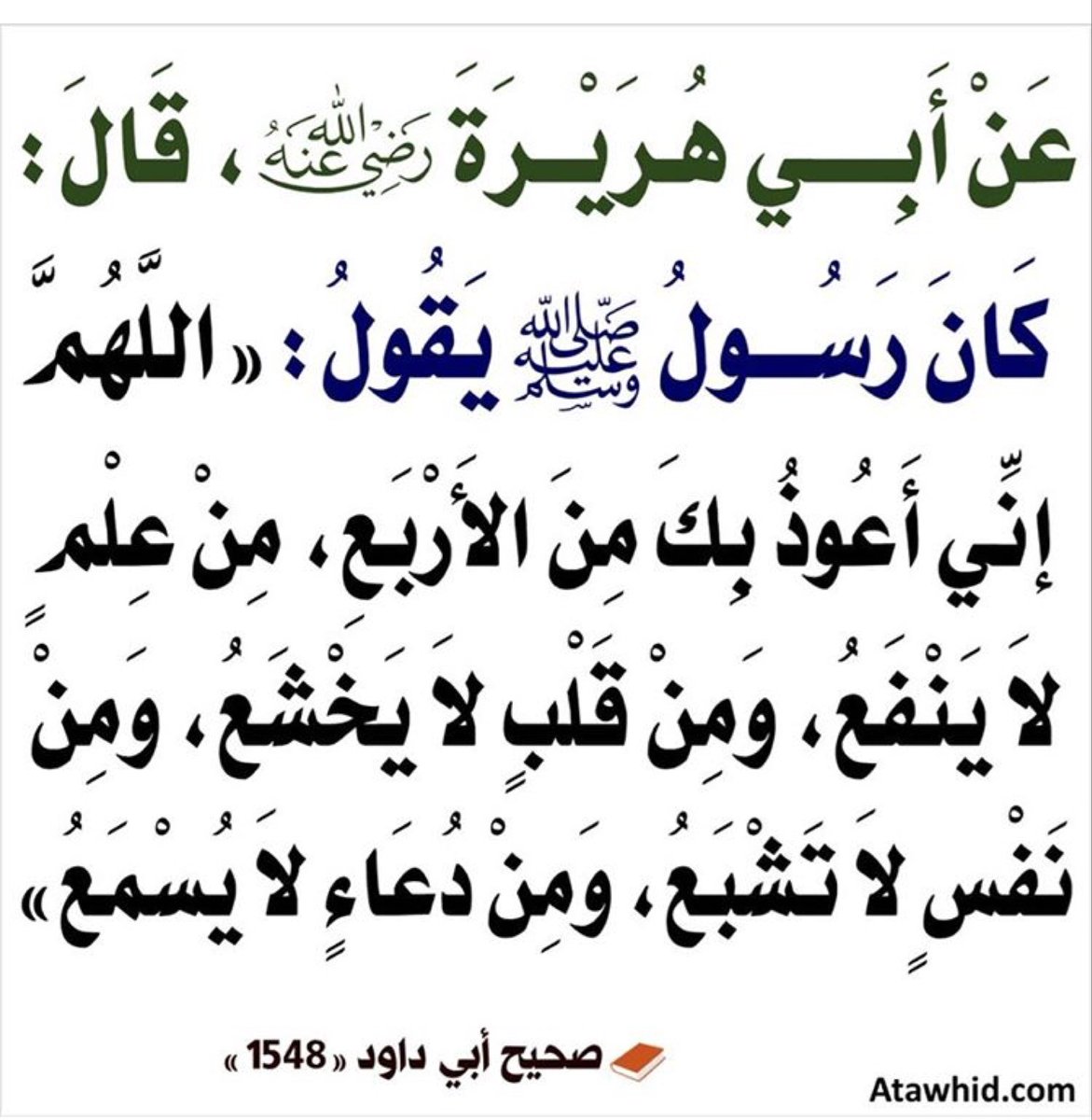 وطن..🤍 tweet media