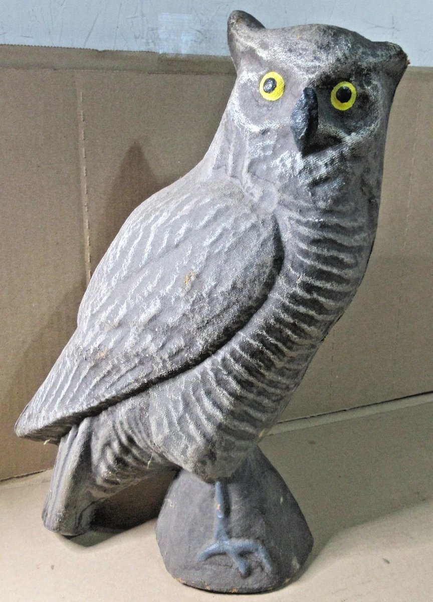 rusticrelics04's tweet photo. Antique Vintage PAPER MACHE CARRY-LITE OWL Decoy 13" Tall https://t.co/F1zLGUcbjZ #eBay via
@eBay
#OwlDecoy #CrowDecoy #VintageDecoy #HuntingDecoy #CarryLite #BirdDecoy #CrowHunting #Owl #Decoy  #FarmProtection #FieldDecoy #GameHunting #OutdoorSportsman #HuntingLife #DecoySetup https://t.co/3AiW1Fo1Tk