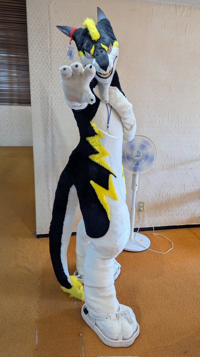 なんかる、🚢🍵/ひやむぎ。🐇🔜はつ☆じゅー会 tweet media