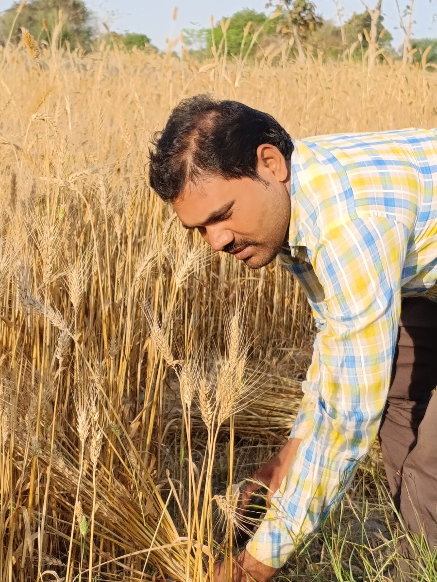 Gyadeen Rajak Datia (M.P.) 👏✍️🌹 tweet media