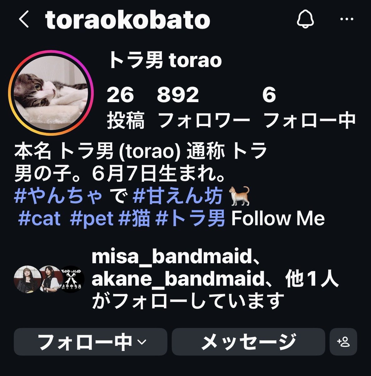 NIGHTINGALE tweet media