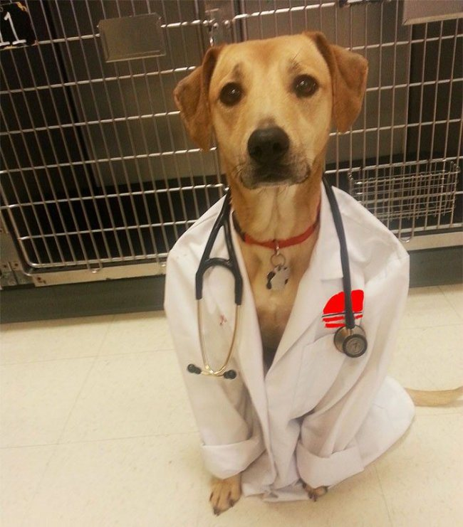 Bichinhos fofinhos pra quem ta cansado tweet media