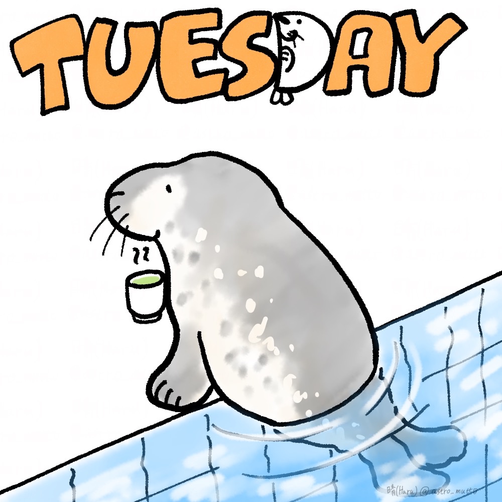 晴(Haru) tweet media