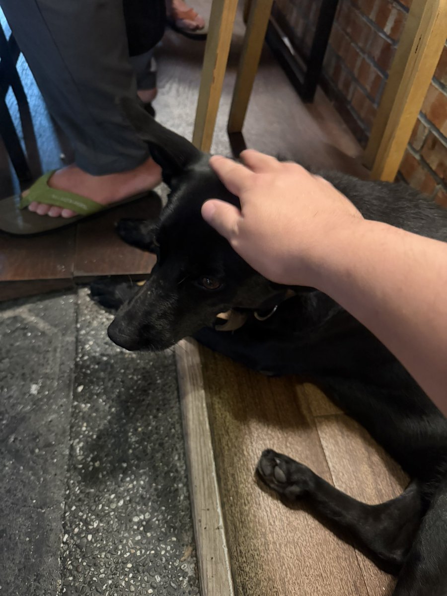 ともちんebay輸出Refurbishedセラー｜せどり｜BtoB｜ジャンク｜不動産投資｜SFC｜ tweet media