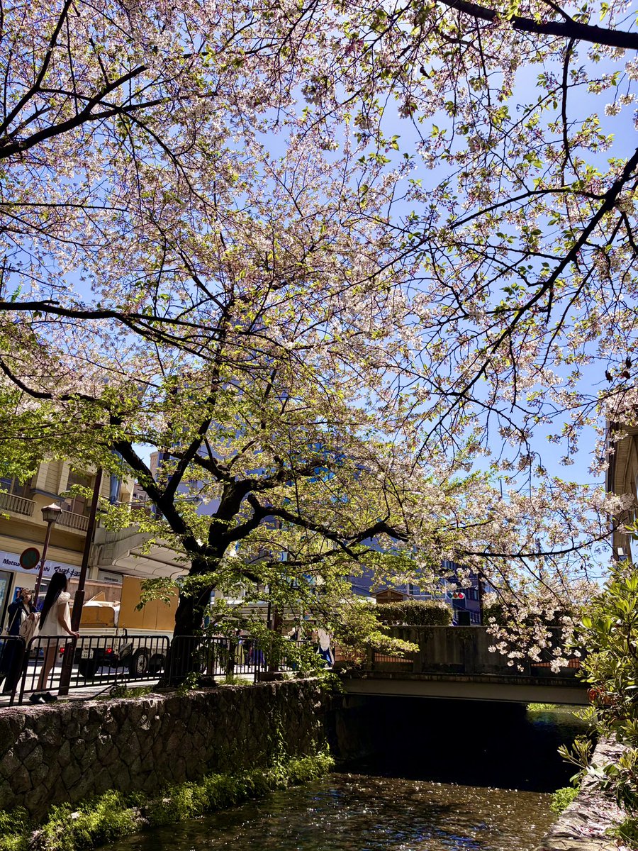 ナズナ tweet media