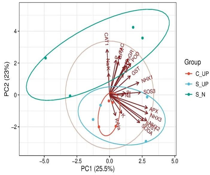 NEW ONLINE: Nano-priming modulates antioxidant enzymes and NHX/SOS-mediated ion homeostasis to improve salinity tolerance in barley genotypes link.springer.com/article/10.100…